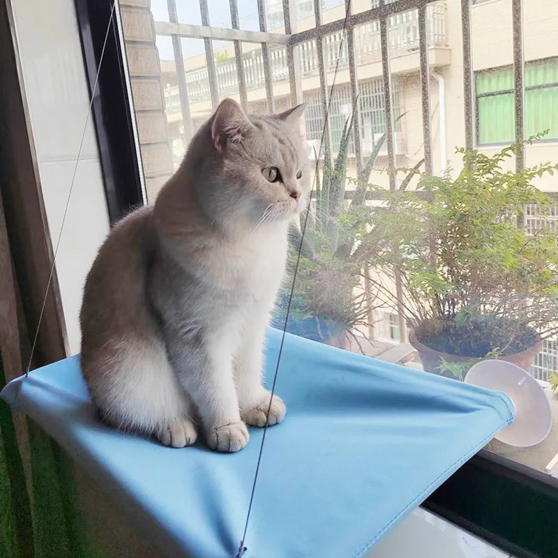Kitty Cradle