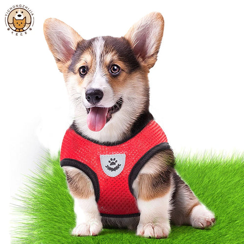 Breeze Vest