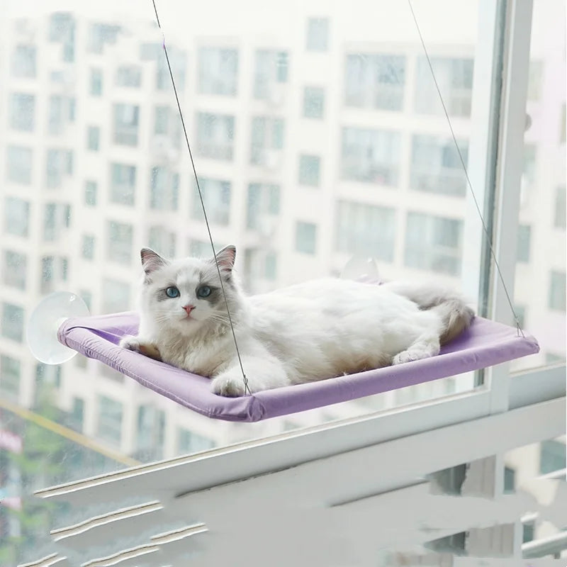 Kitty Cradle