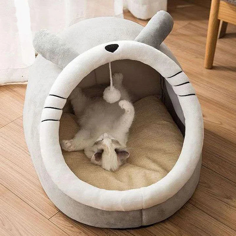 Cozy Cave