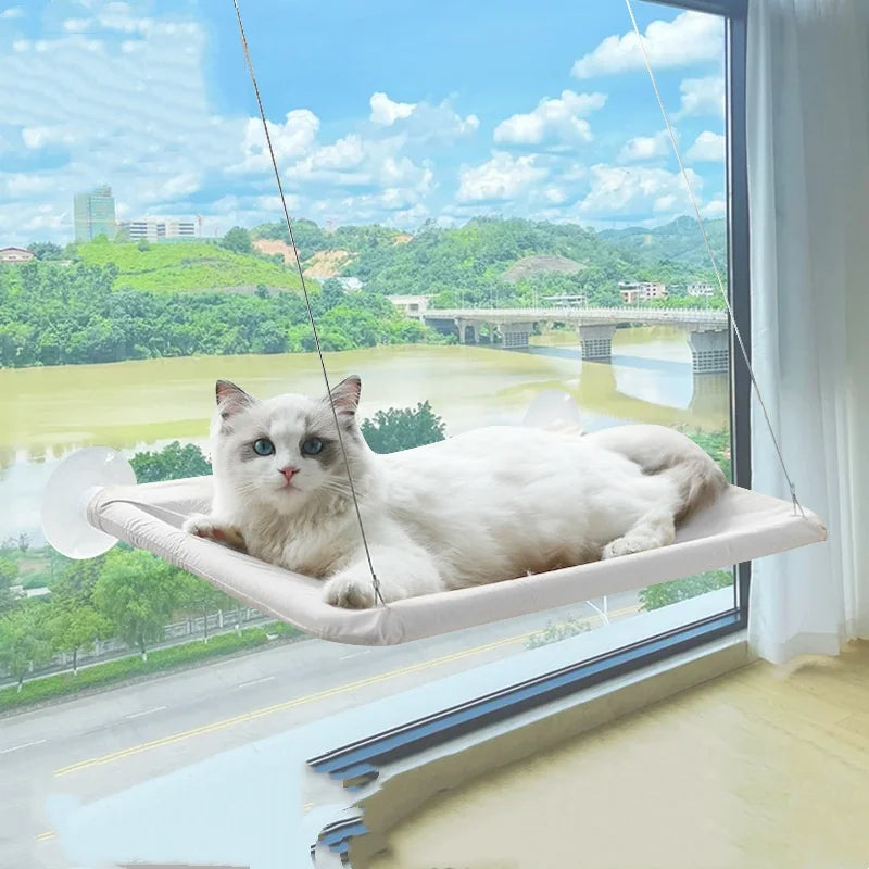 Kitty Cradle