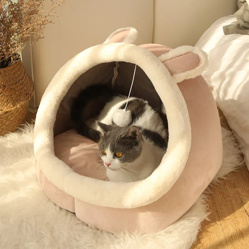 Cozy Cave